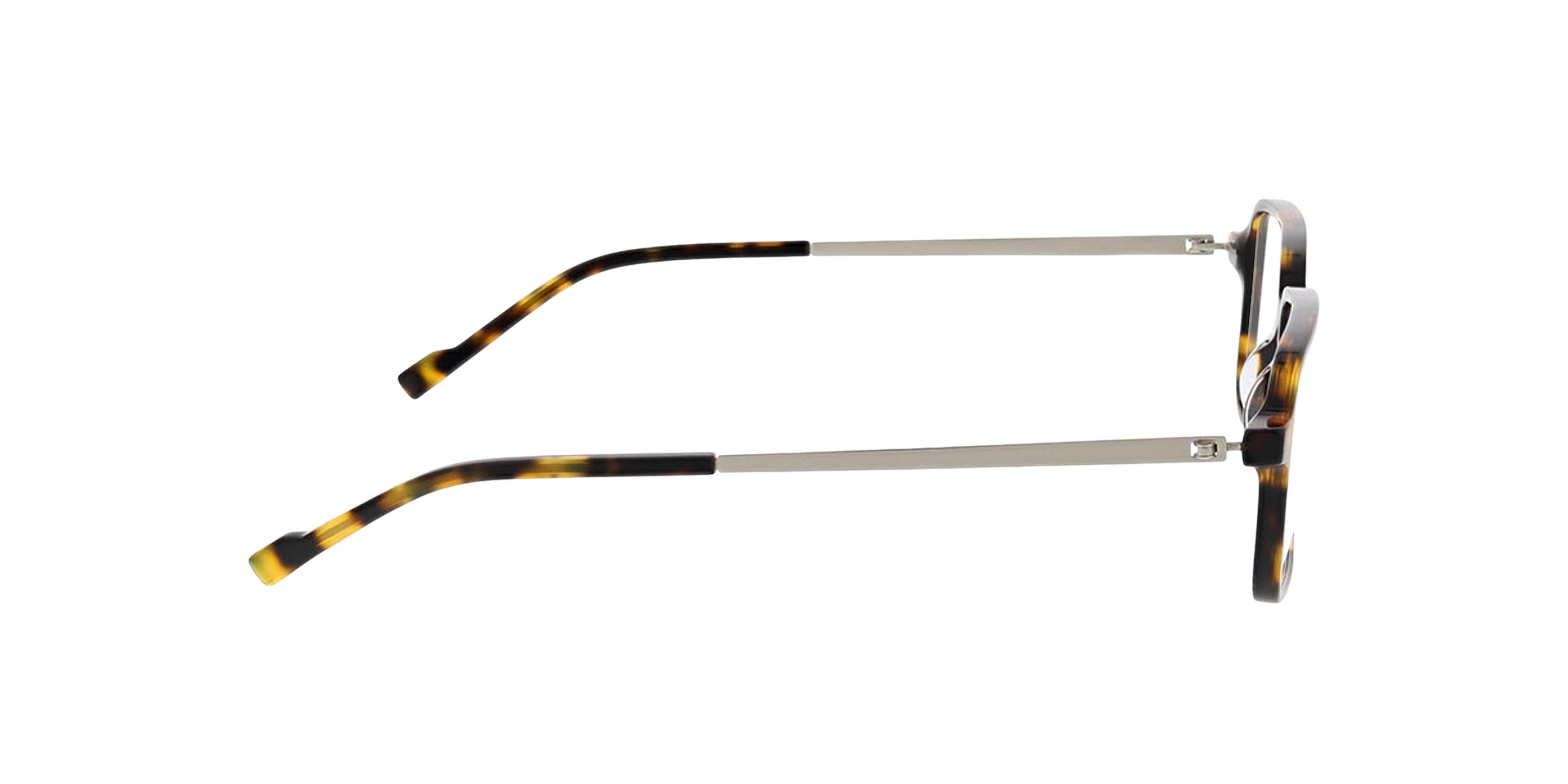 Freiburg Dark Havana  &  Matt Silver AcetatEyeglass Frames von B24, Seitenansicht