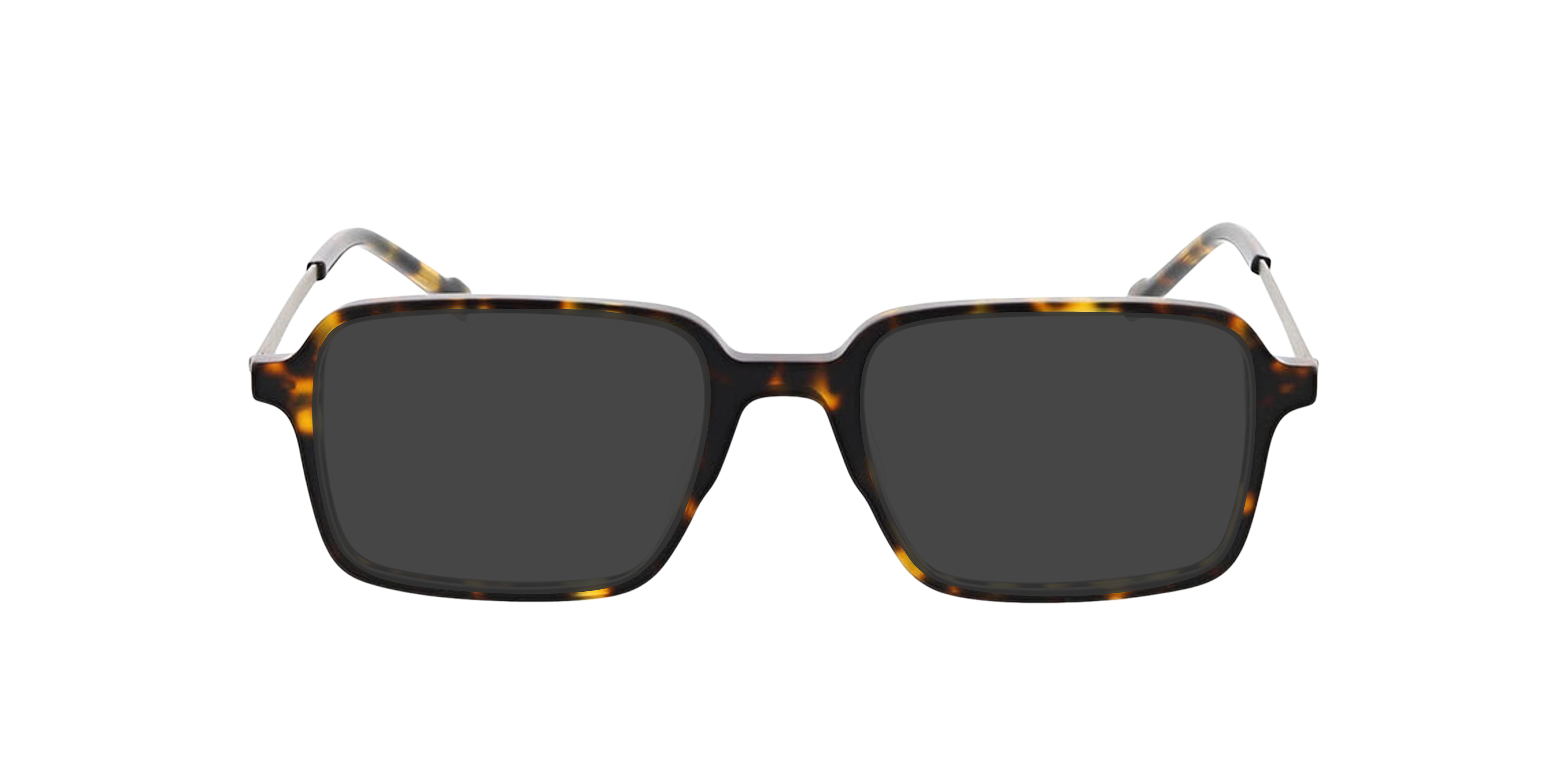 Freiburg Dark Havana  &  Matt Silver AcetatEyeglass Frames von B24, mit getönten Gläsern