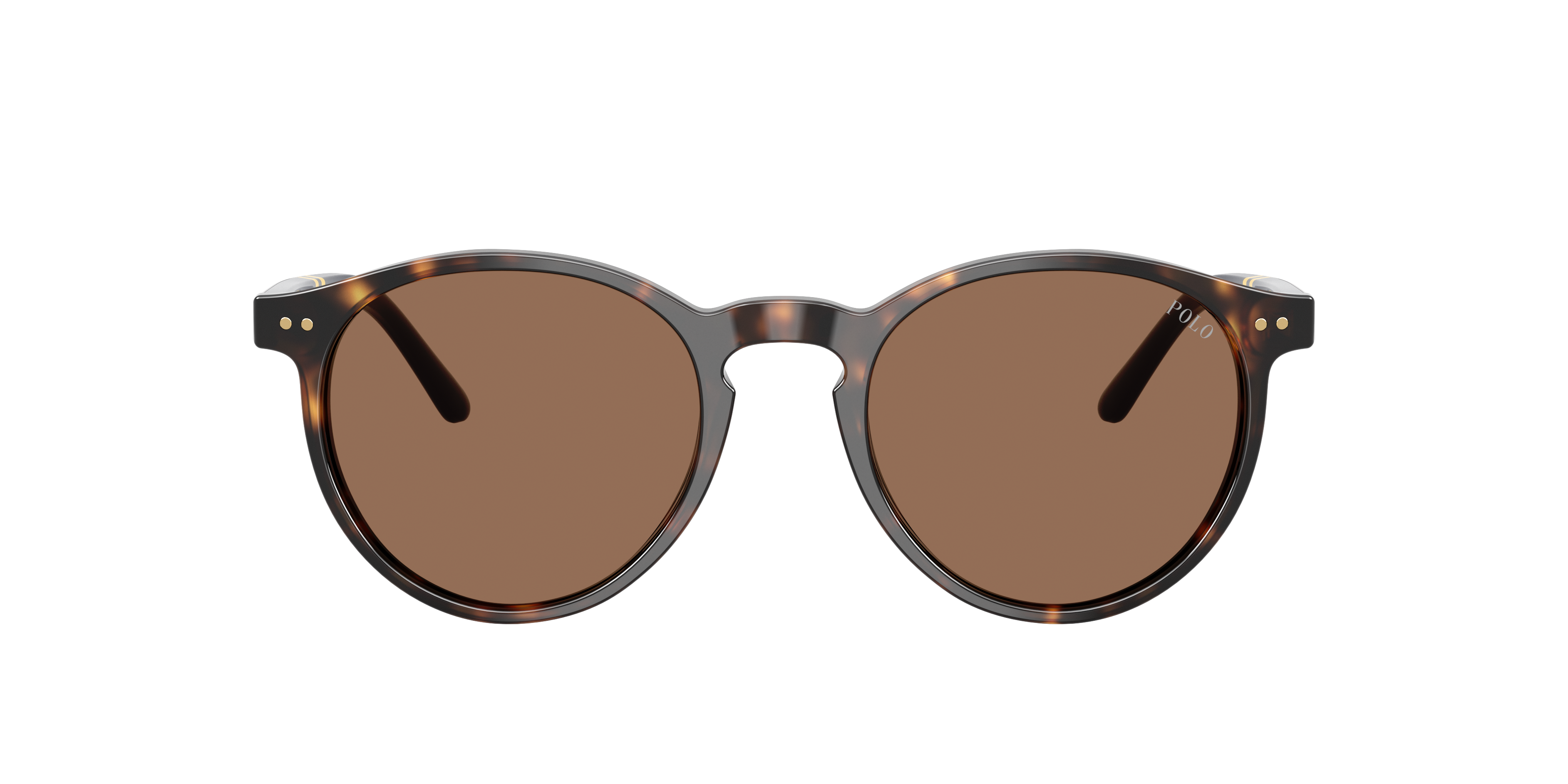 PH4236 Glanzend donker Havana AcetaatSunglass Frames van B24, met getinte lenzen