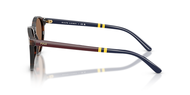 PH4236 Glanzend donker Havana AcetaatSunglass Frames van B24, Zijaanzicht