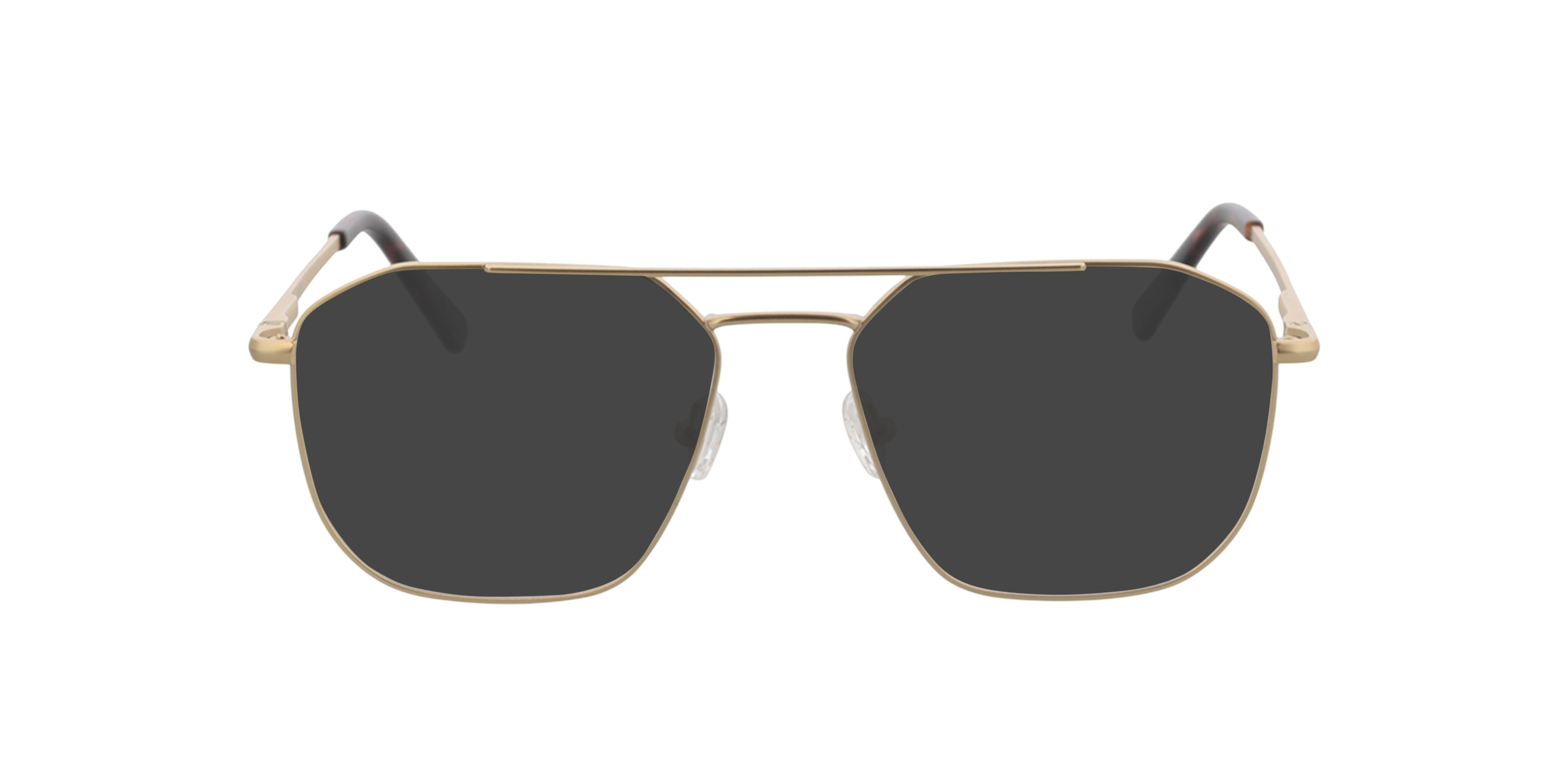 Berry Goud  &  mat Havana pootje MetaalEyeglass Frames van B24, met getinte lenzen