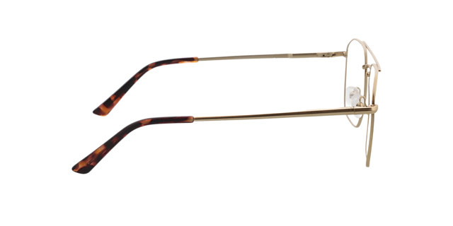 Berry Gold  &  Matt Havana Tip MetallEyeglass Frames von B24, Seitenansicht