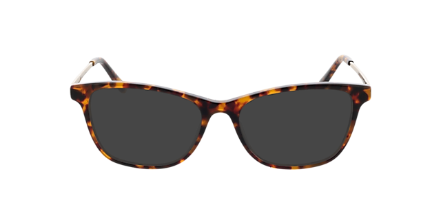 Lola Havana & goud MetaalEyeglass Frames van B24, met getinte lenzen