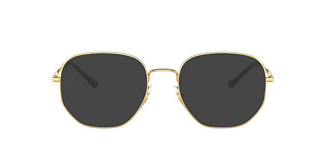 RB3682V Arista goud MetaalEyeglass Frames van B24, met getinte lenzen