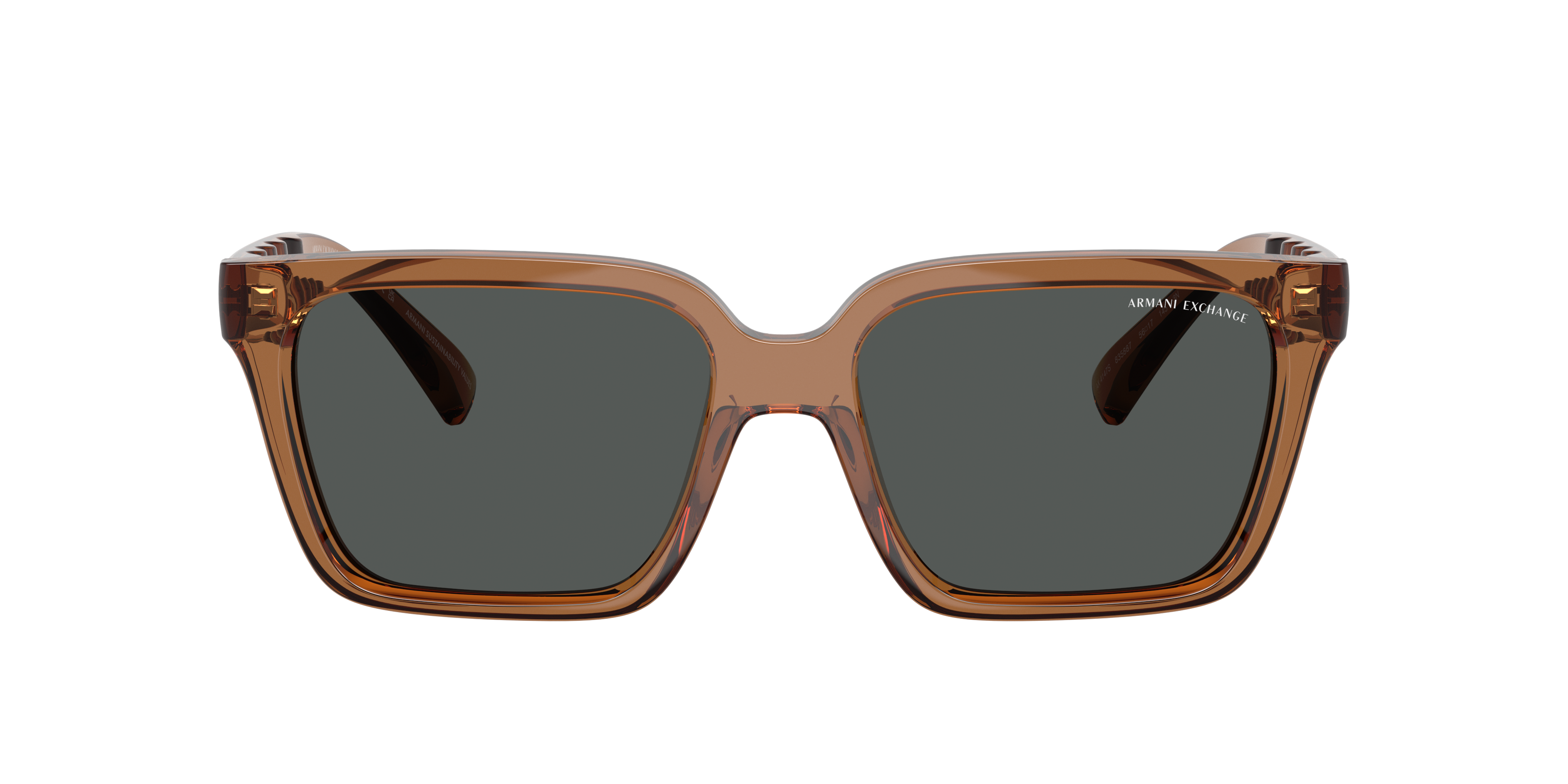 AX4147S Shiny Transparent Brown KunststofSunglass Frames van B24, met getinte lenzen