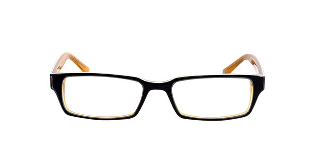 Capuno Zwart & oranje AcetaatEyeglass Frames van B24, Vooraanzicht