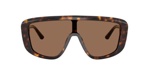 Dolce&Gabbana - DG4520, Herren, Havana/Black, Größe: Small