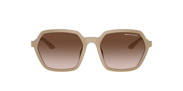 AX4139SU Shiny Tundra KunststoffSunglass Frames von B24, mit getönten Gläsern