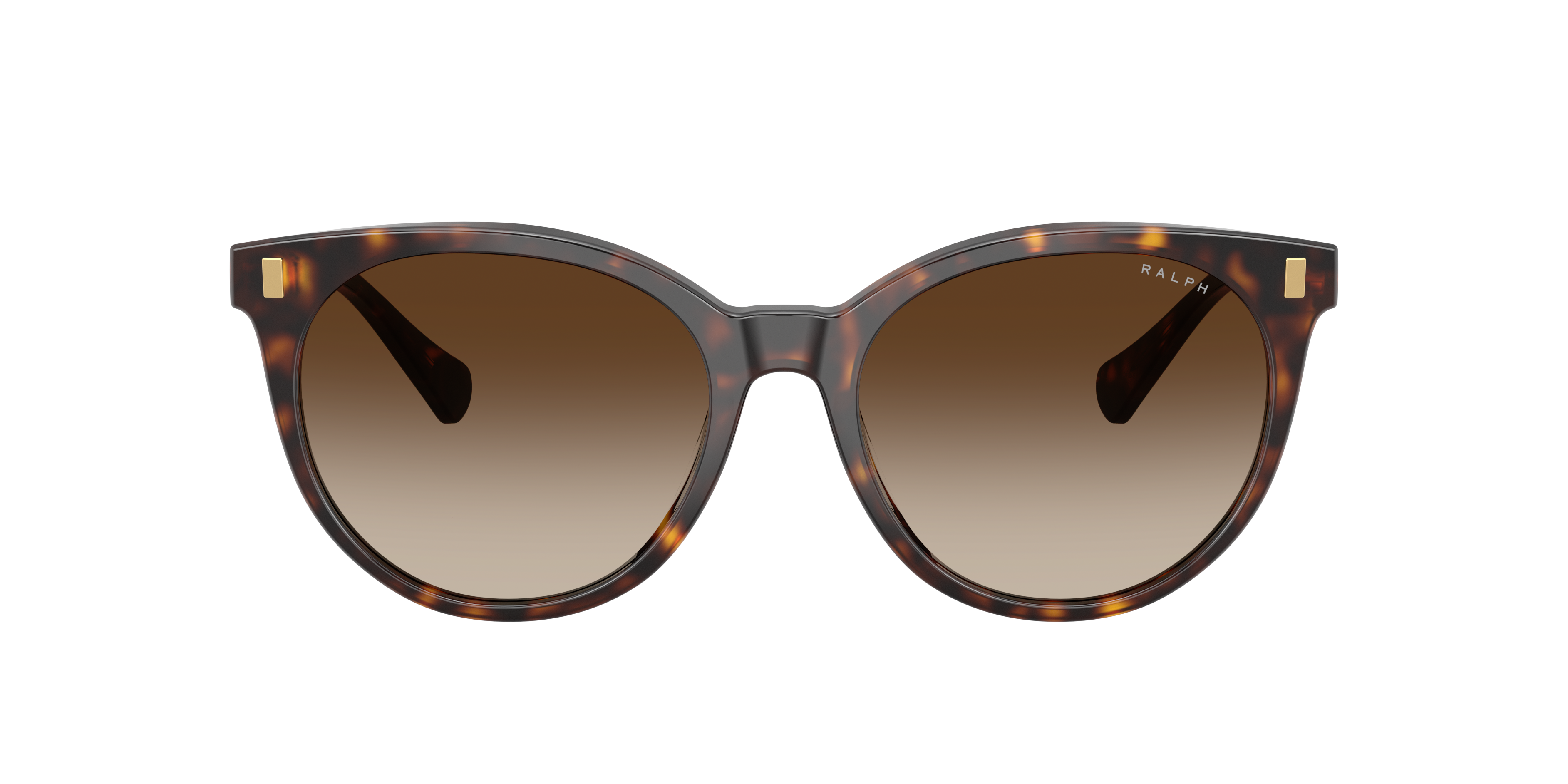 RA5331U Glänzendes Dunkelhavana AcetatSunglass Frames von B24, mit getönten Gläsern