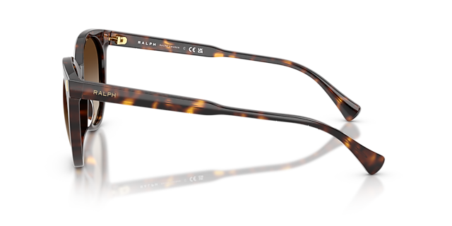 RA5331U Glanzend donker Havana AcetaatSunglass Frames van B24, Zijaanzicht