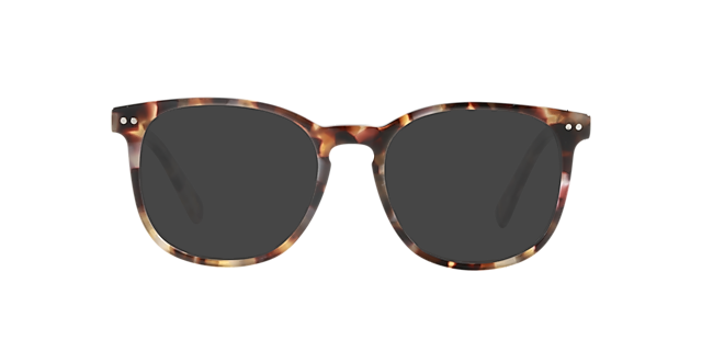 BARRON Emperador Havana AcetaatEyeglass Frames van B24, met getinte lenzen