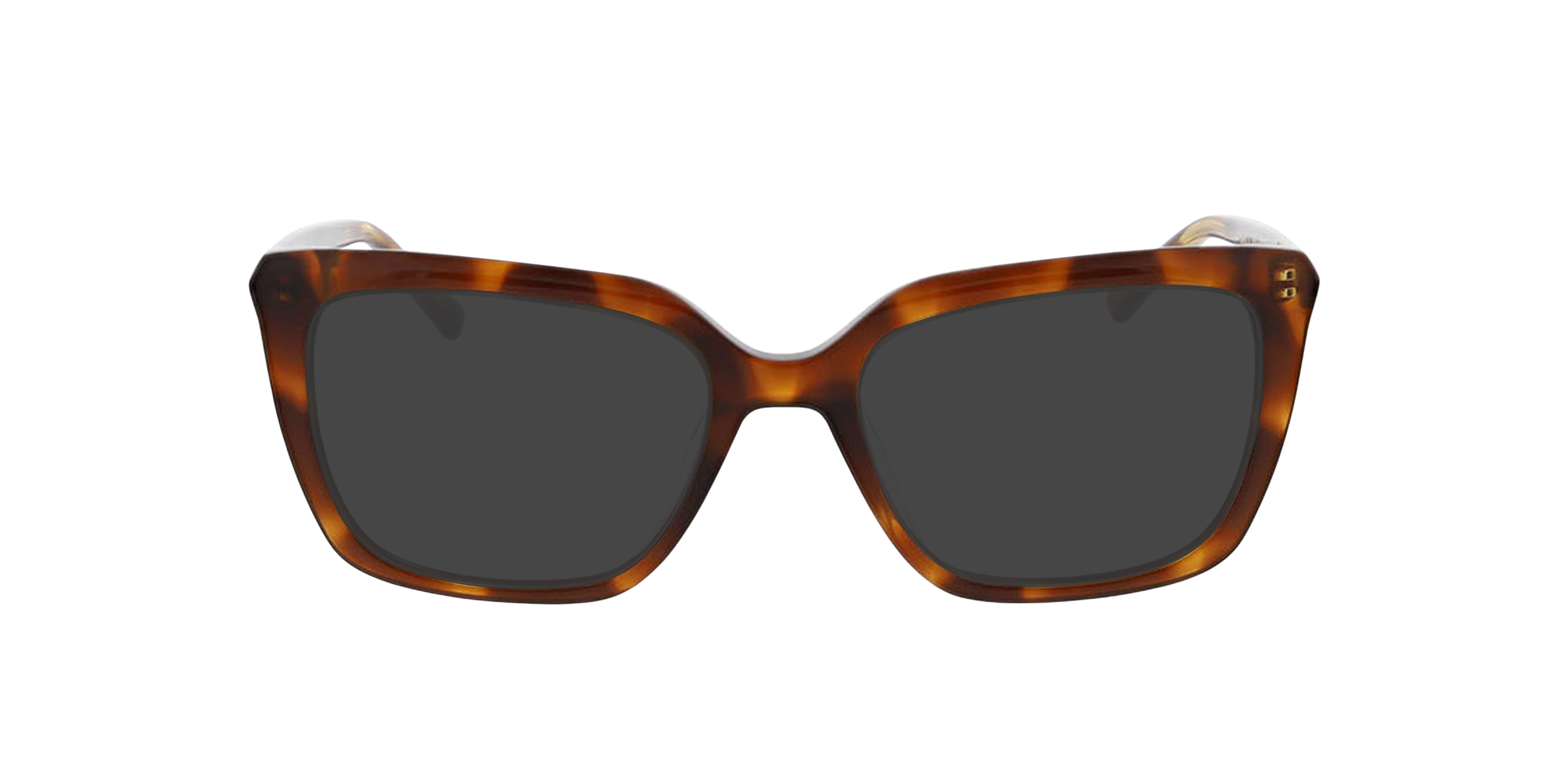 Whitney Havana AcetatEyeglass Frames von B24, mit getönten Gläsern