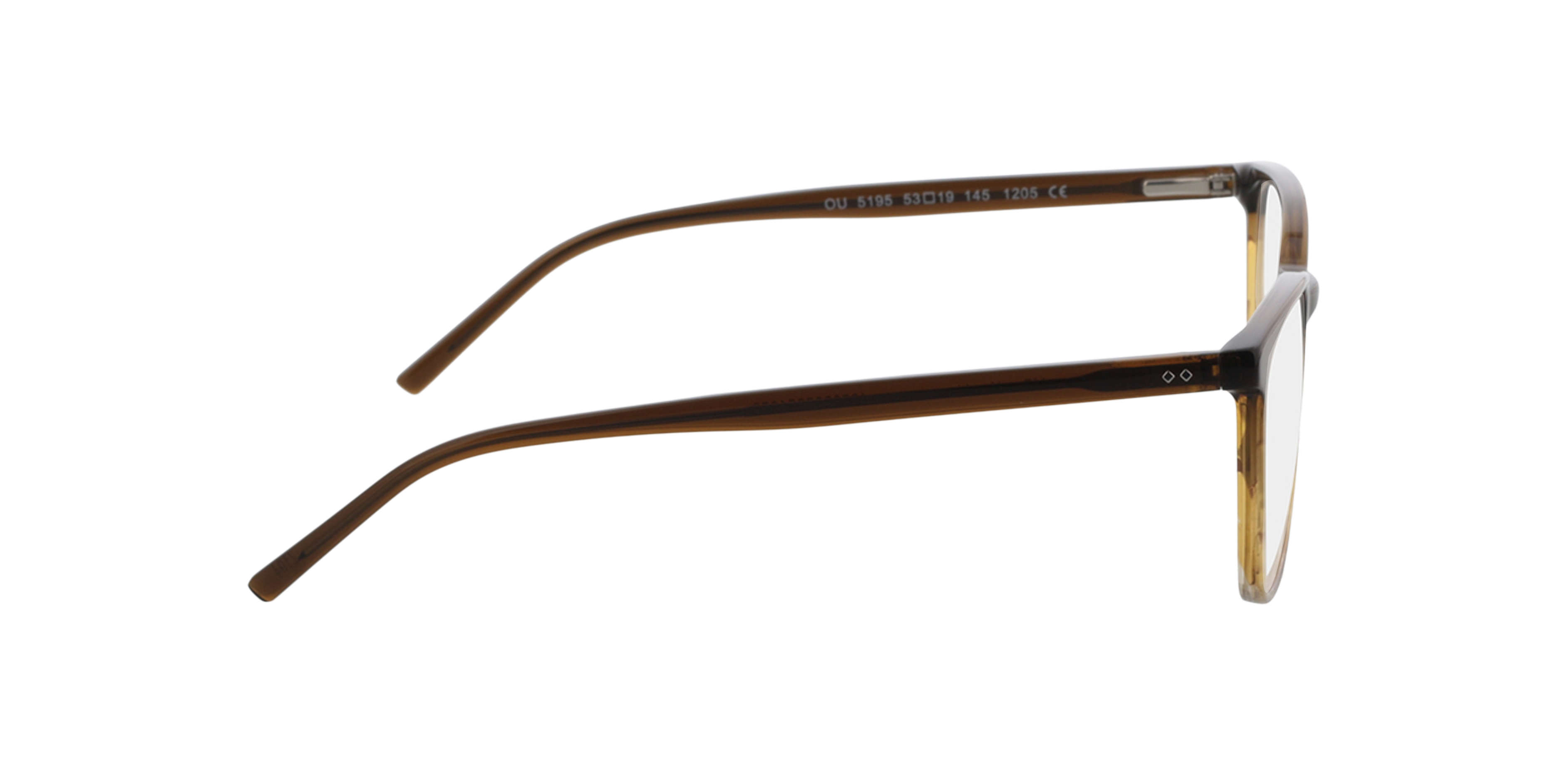 Hawkins Gradient Brown Horn  &  Brown AcetatEyeglass Frames von B24, Seitenansicht