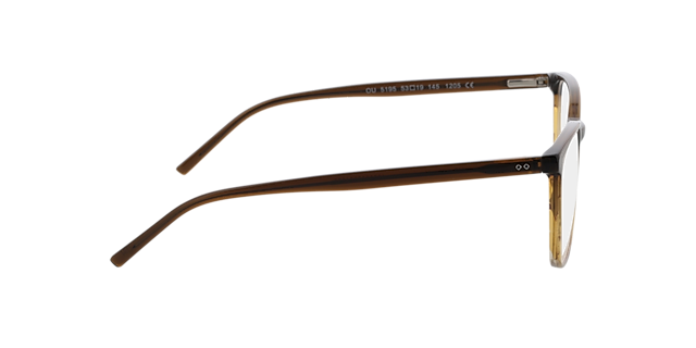 Hawkins Gradient Brown Horn & Brown AcetatEyeglass Frames von B24, Seitenansicht