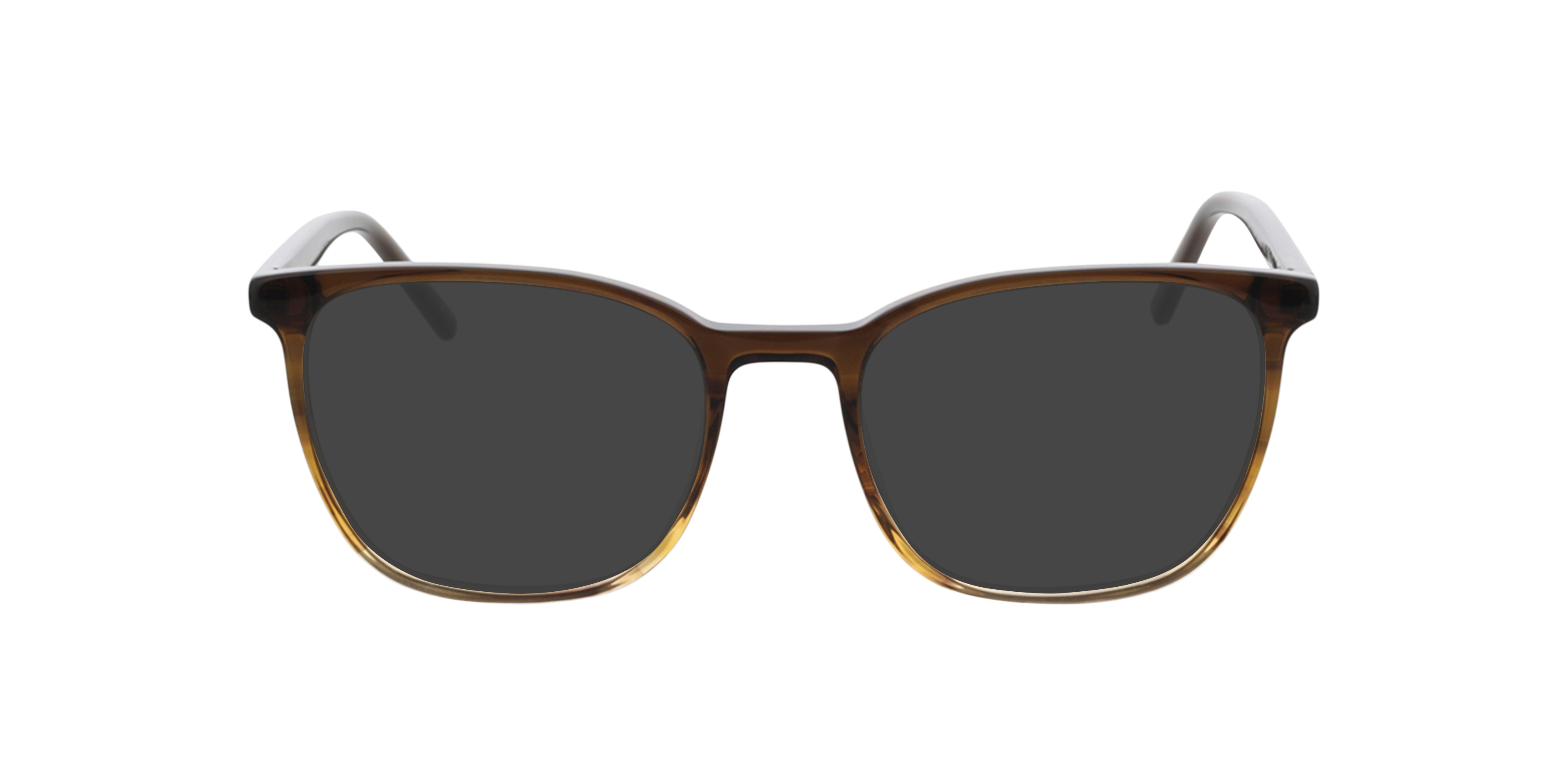 Hawkins Gradient Brown Horn  &  Brown AcetatEyeglass Frames von B24, mit getönten Gläsern