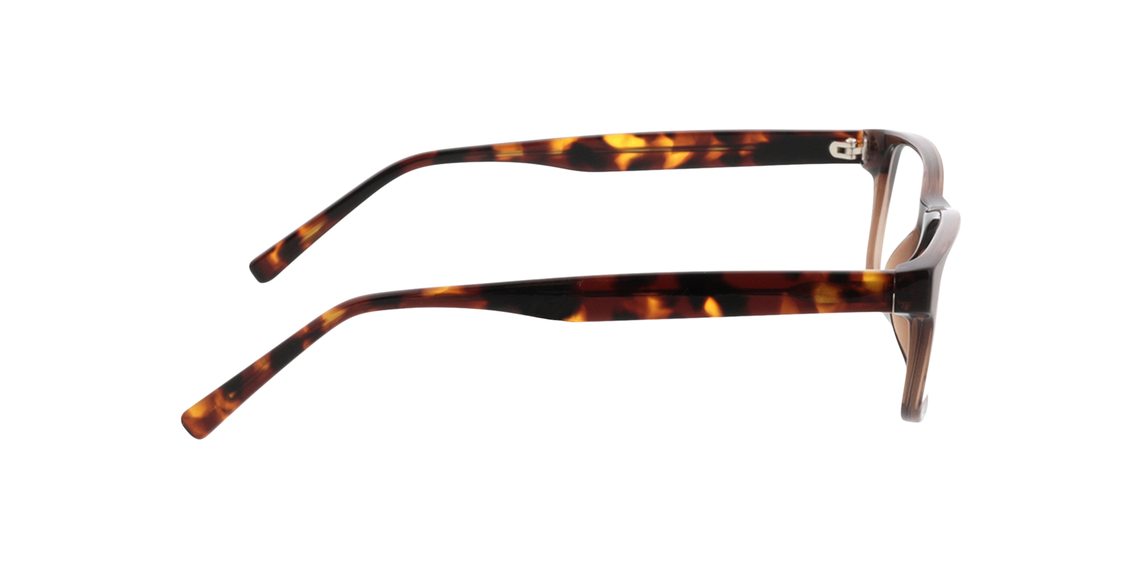 Korban Crystal Braun KunststoffEyeglass Frames von B24, Seitenansicht