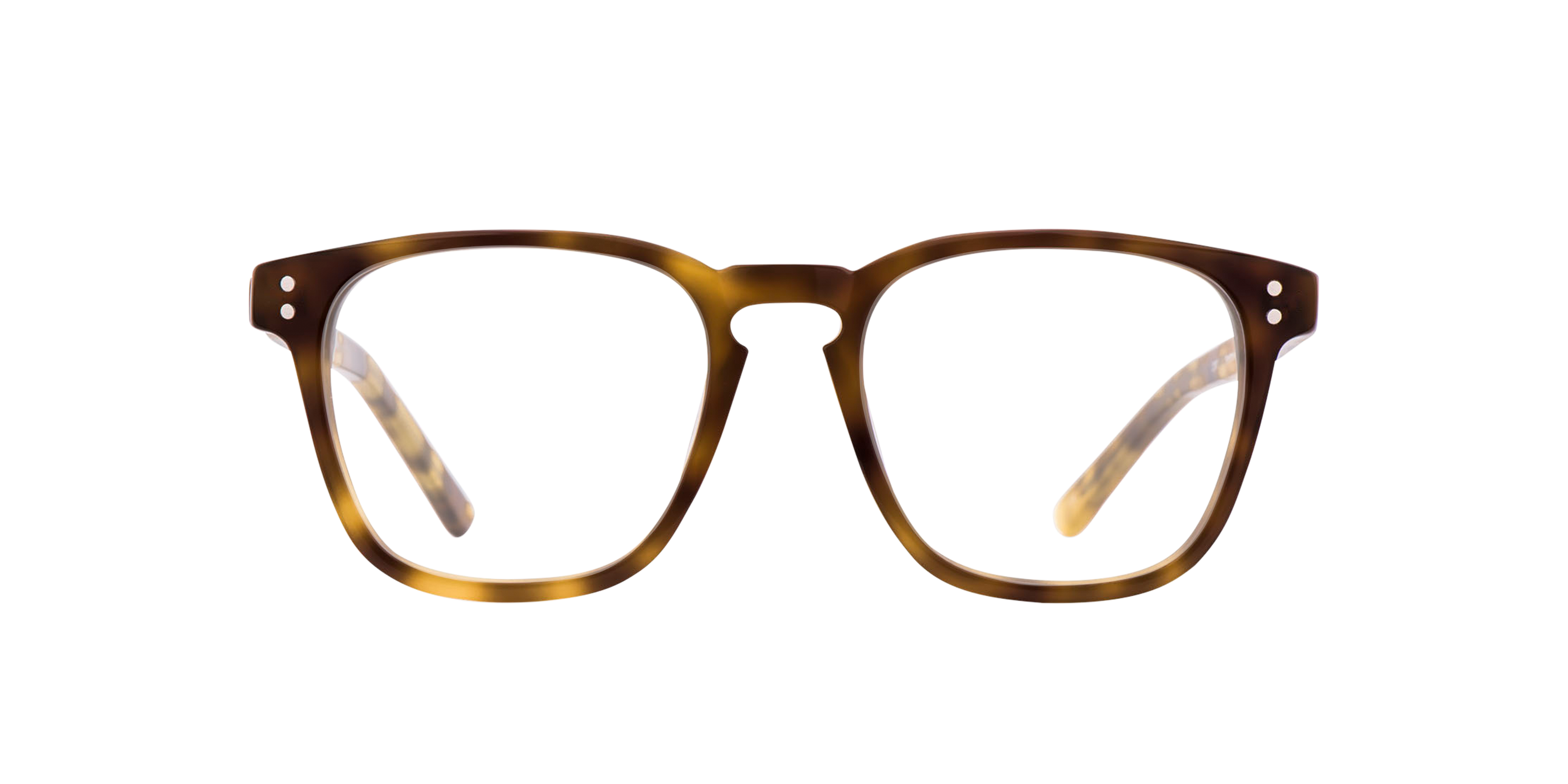 Charlie Temple 8721321260073 Hazel Tortoise/jet Black/moonlight Tortoise, Size: Durchschnittlich