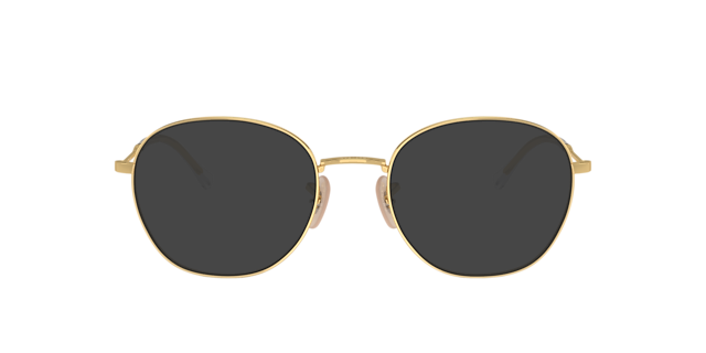 RB6509 Arista goud MetaalEyeglass Frames van B24, met getinte lenzen