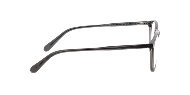 Alvin Grijs AcetaatEyeglass Frames van B24, Zijaanzicht