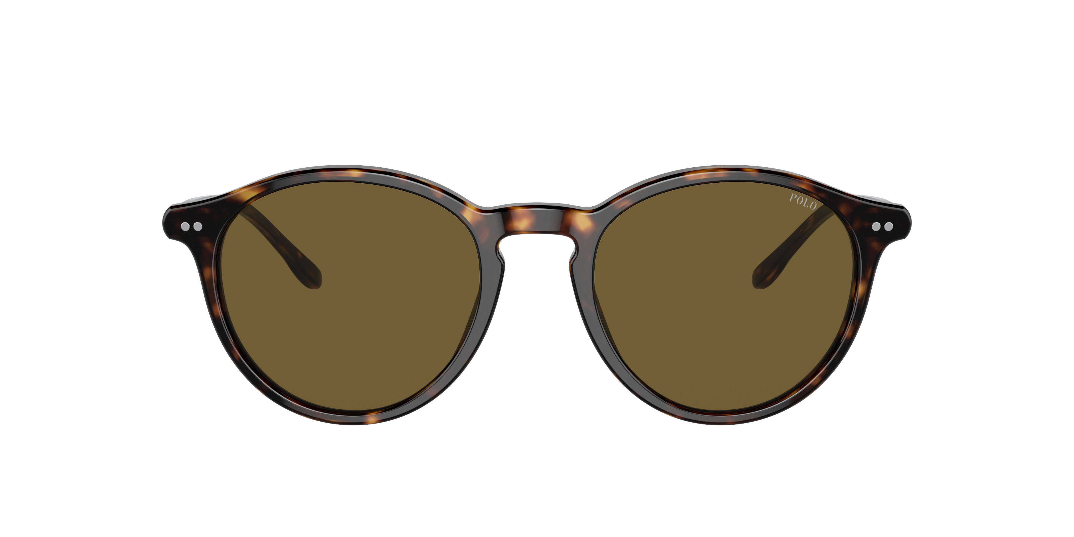 PH4193 Glanzend donker Havana AcetaatSunglass Frames van B24, met getinte lenzen