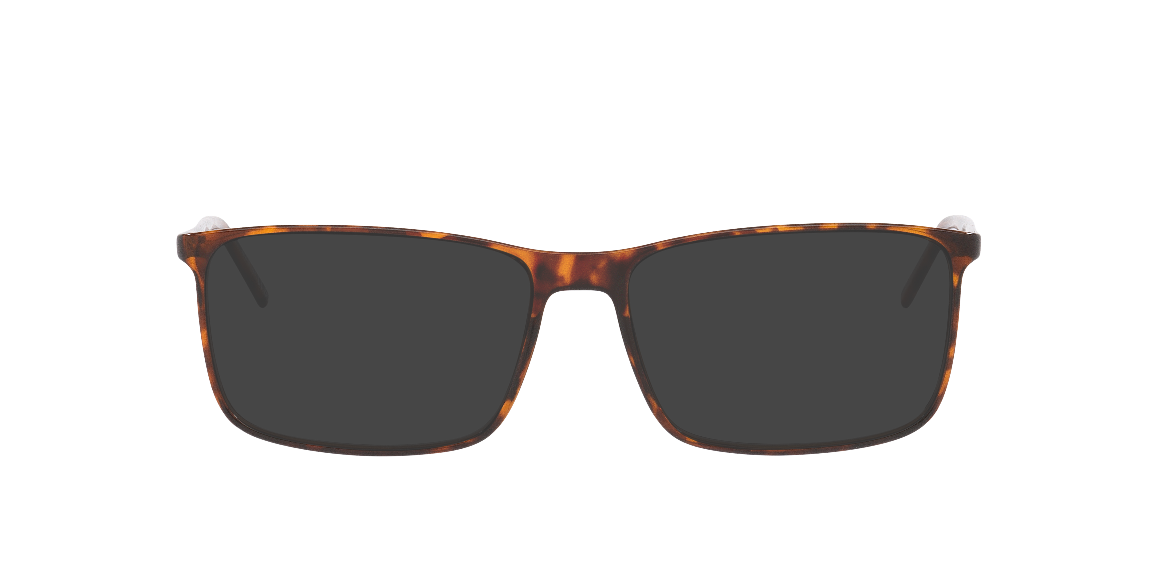 SL846 Tortoise KunststoffEyeglass Frames von B24, mit getönten Gläsern