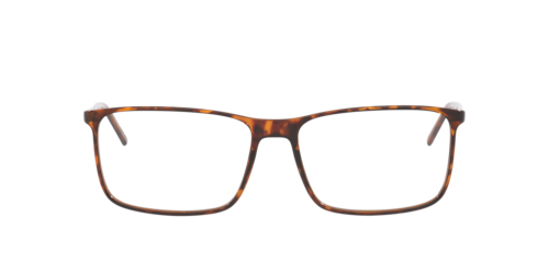 Saint Laurent - SL846, Herren, Tortoise/Black, Größe: Large