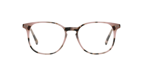 Charlie Temple - BARRON, Marzipan Tortoise/havana/Moonlight Tortoise, Größe: Durchschnittlich