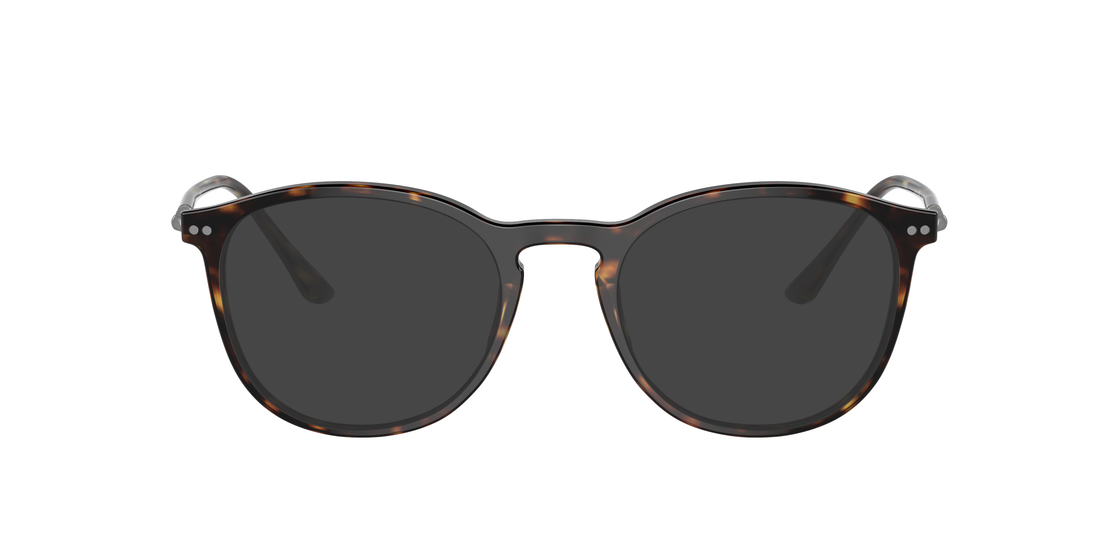 AR7125 Dunkelhavana AcetatEyeglass Frames von B24, mit getönten Gläsern