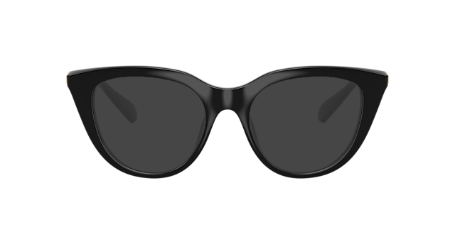 SK2052 Schwarz KunststoffEyeglass Frames von B24, mit getönten Gläsern