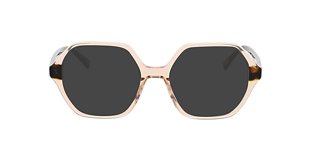 Molly Kristal roze & Havana AcetaatEyeglass Frames van B24, met getinte lenzen