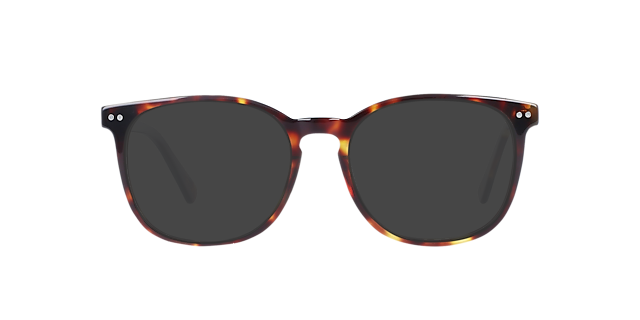 BARRON Moonlight Tortoise AcetatEyeglass Frames von B24, mit getönten Gläsern