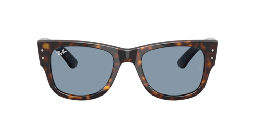 Ray-Ban - RB0840S, Havana/Transparent Brown/Black, Größe: Large