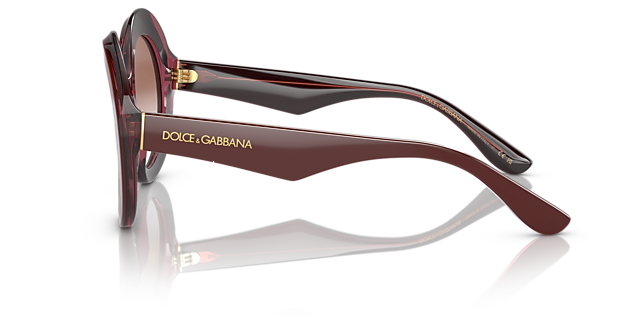 DG4418 Bordeaux & Bordeaux transparent AcetatSunglass Frames von B24, Seitenansicht