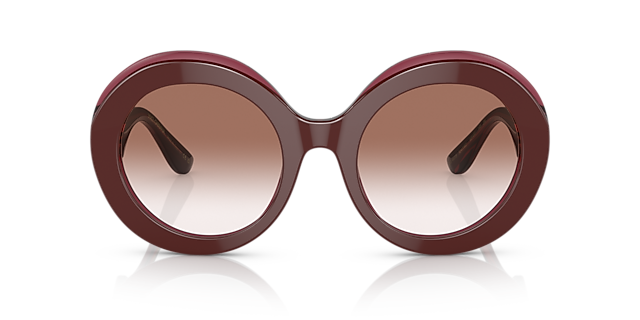 DG4418 Bordeaux & Bordeaux transparent AcetatSunglass Frames von B24, Vorderansicht