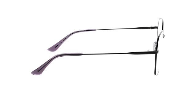 Claire Zwart  &  kristal mauve MetaalEyeglass Frames van B24, Zijaanzicht