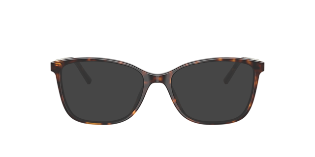 DG3424 Havana AcetatEyeglass Frames von B24, mit getönten Gläsern