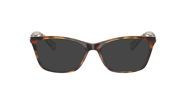 RA7071 Dunkelhavana KunststoffEyeglass Frames von B24, mit getönten Gläsern