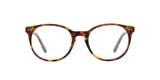Sidney Chestnut Tortoise AcetaatEyeglass Frames van B24, Vooraanzicht