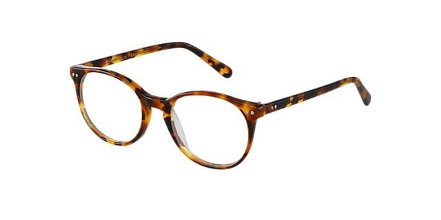 Sidney Chestnut Tortoise AcetaatEyeglass Frames van B24, Hoekweergave
