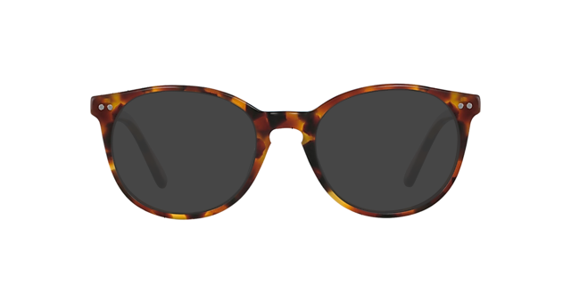 Sidney Chestnut Tortoise AcetaatEyeglass Frames van B24, met getinte lenzen