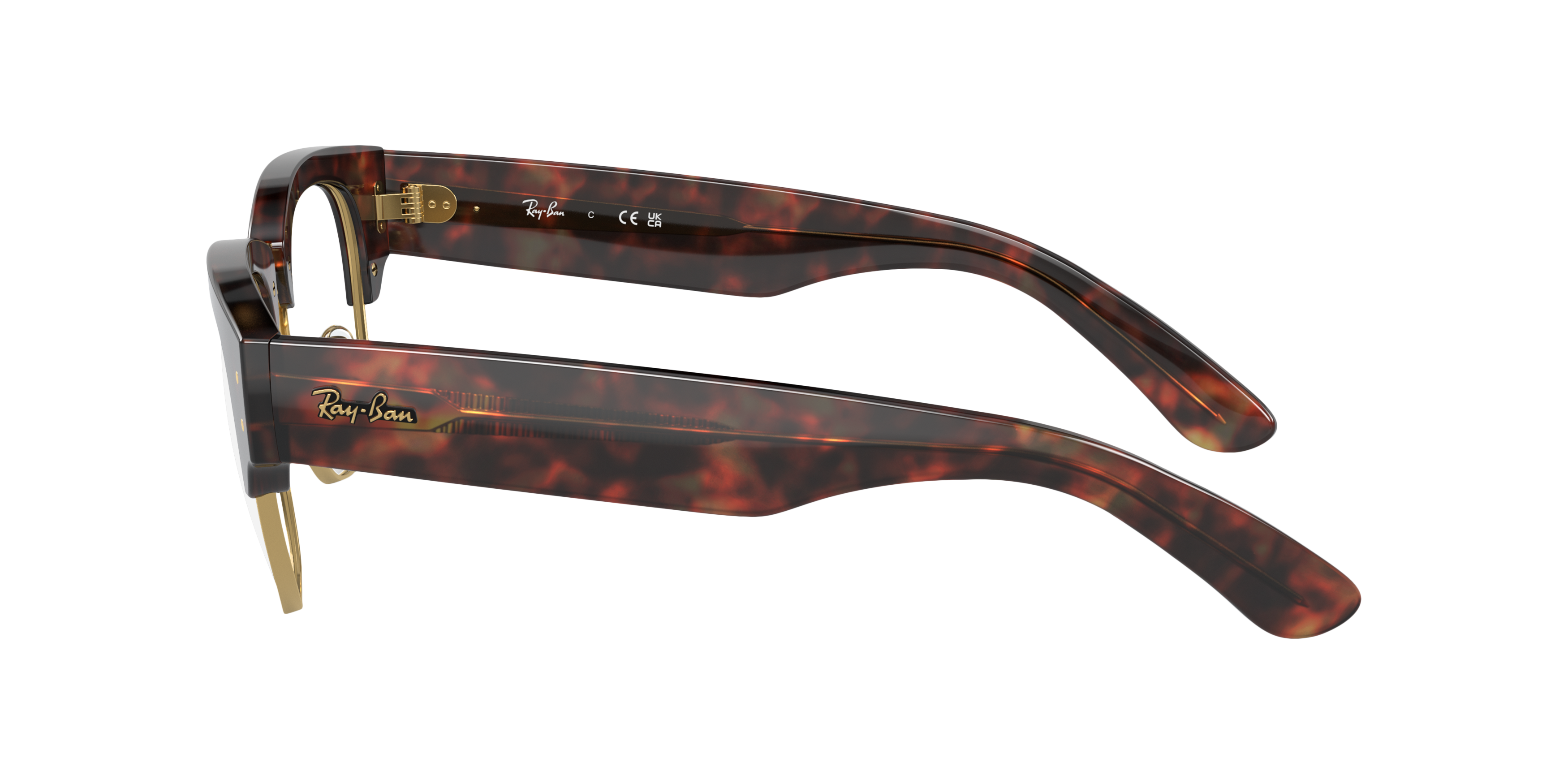 RB0316V Schildpatt auf Gold KunststoffEyeglass Frames von B24, Seitenansicht