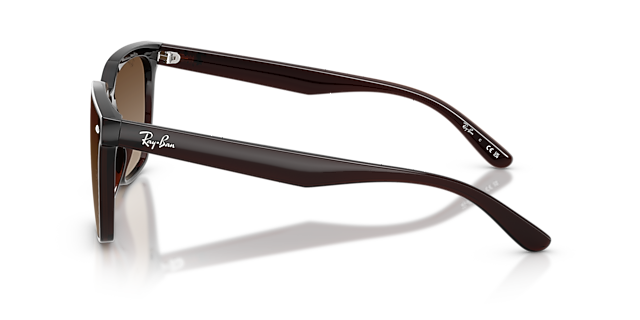 RB4466D Dunkelbraun transparent KunststoffSunglass Frames von B24, Seitenansicht