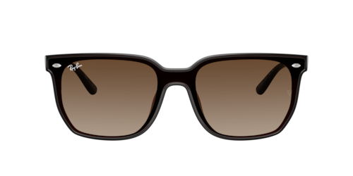 Ray-Ban - RB4466D, Dunkelbraun transparent/Transparent Dark Brown/Black, Größe: Large