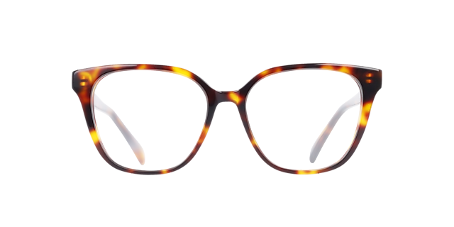 Sabrina Havana Cigars AcetatEyeglass Frames von B24, Vorderansicht