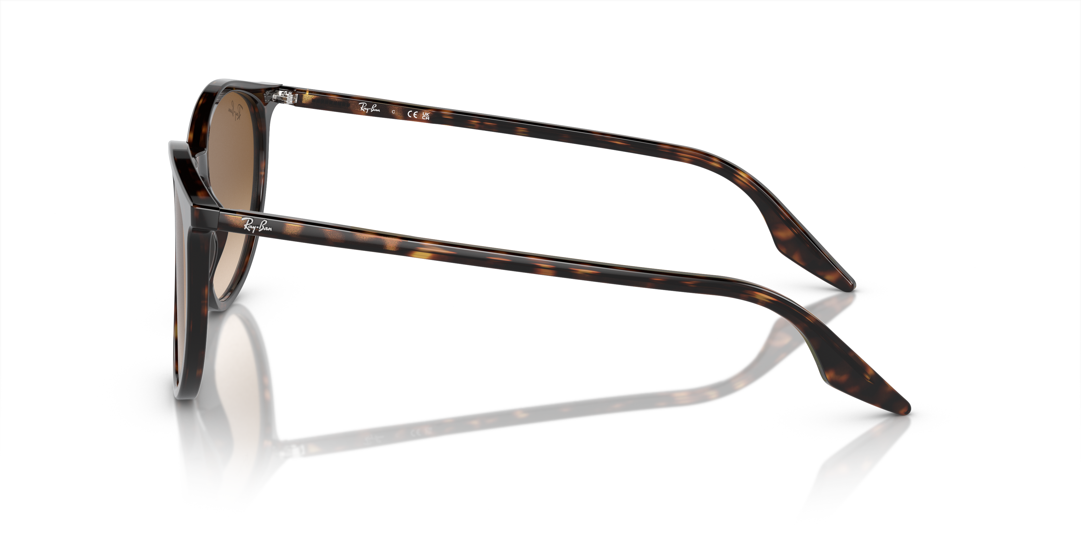 RB2204 Havana AcetatSunglass Frames von B24, Seitenansicht