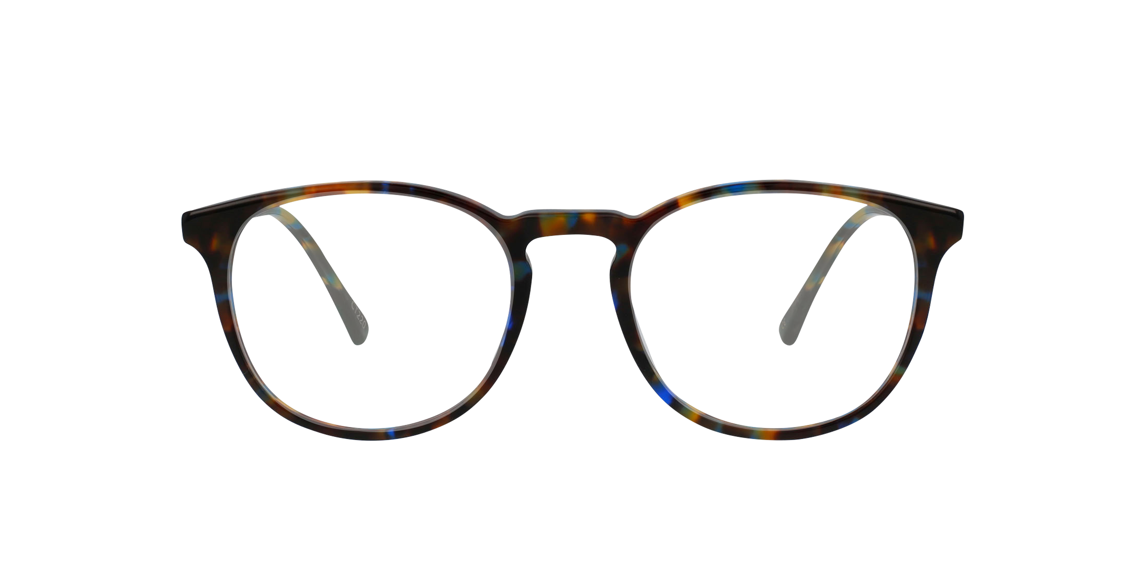 Charlie Temple 8721321260714 Admiral Tortoise/brown/chestnut Tortoise, Size: Durchschnittlich