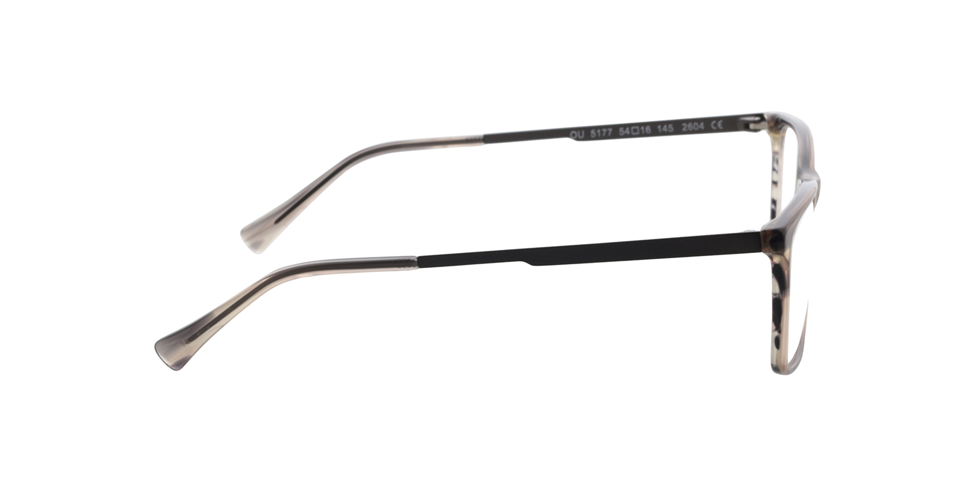 Aaron Grijs hoorn  &  mat gunmetal AcetaatEyeglass Frames van B24, Zijaanzicht