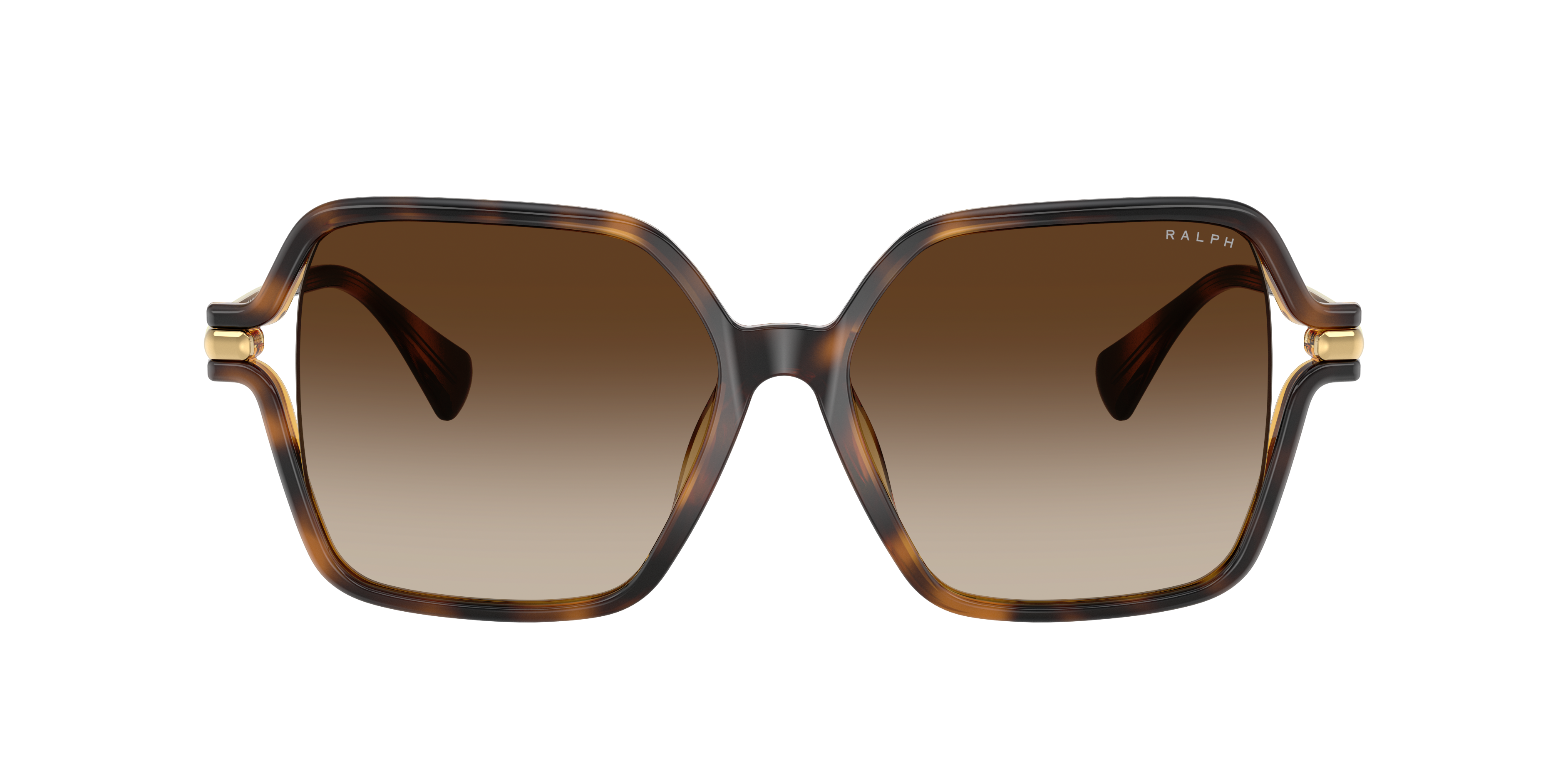 RA5319U Glänzendes Dunkelhavana KunststoffSunglass Frames von B24, mit getönten Gläsern