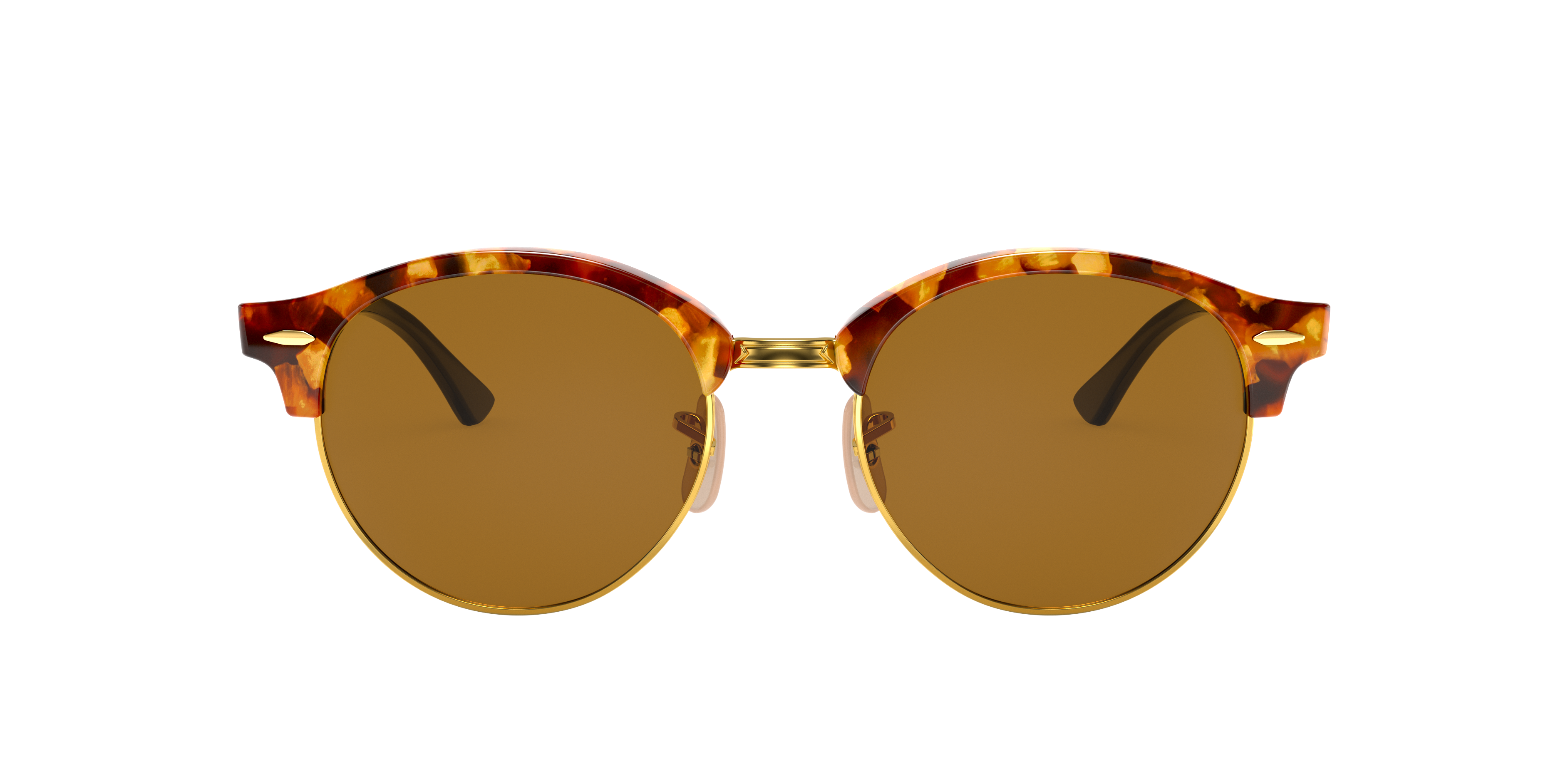 RB4246 Havana Braun AcetatSunglass Frames von B24, mit getönten Gläsern