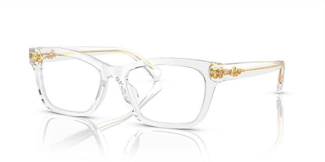 RA7154U Glanzend Kristal AcetaatEyeglass Frames van B24, Hoekweergave